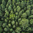 cop-30-brasil